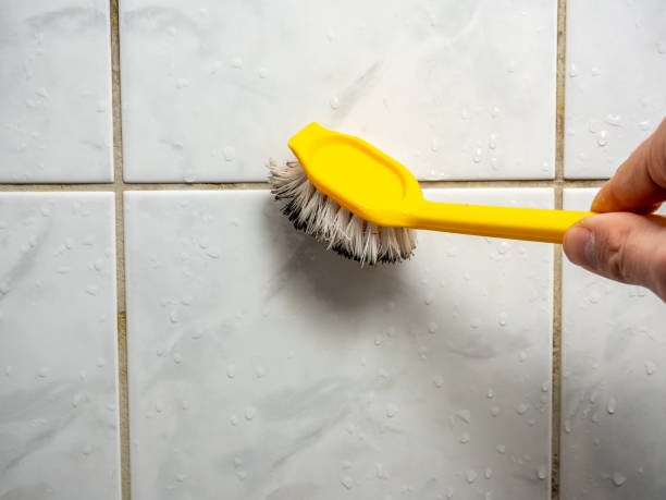 Best Mold Damage Repair  in Howard City, MI