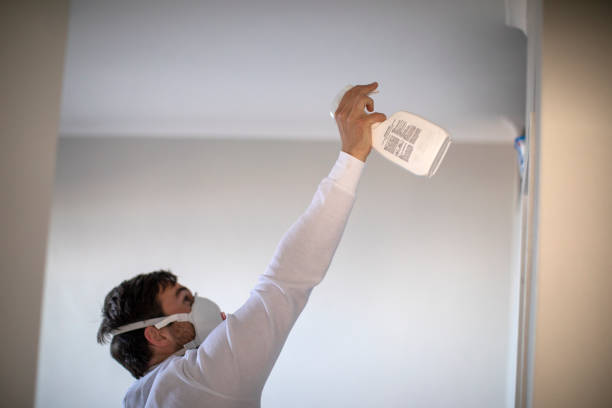 Best Mold Removal and Inspection  in Howard City, MI