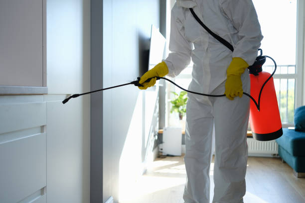 Best Professional Mold Removal  in Howard City, MI