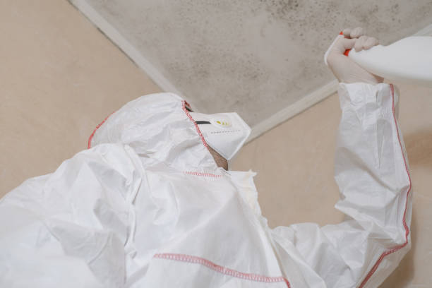 Best Mold Removal Company Near Me  in Howard City, MI