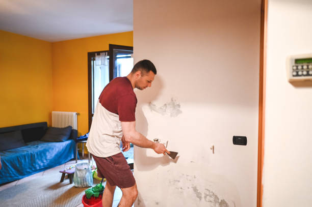Best Mold Testing  in Howard City, MI