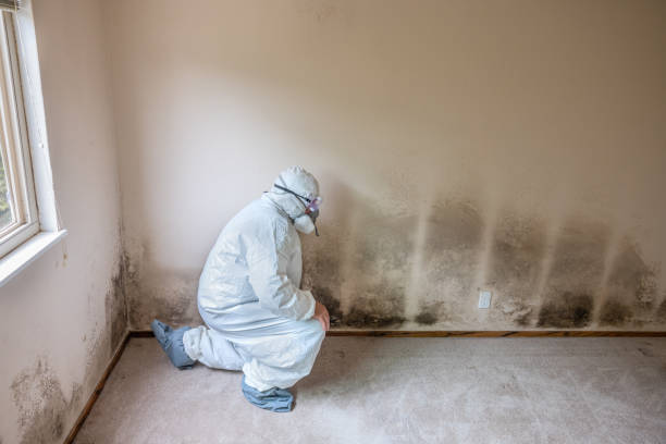 Best Mold Testing  in Howard City, MI